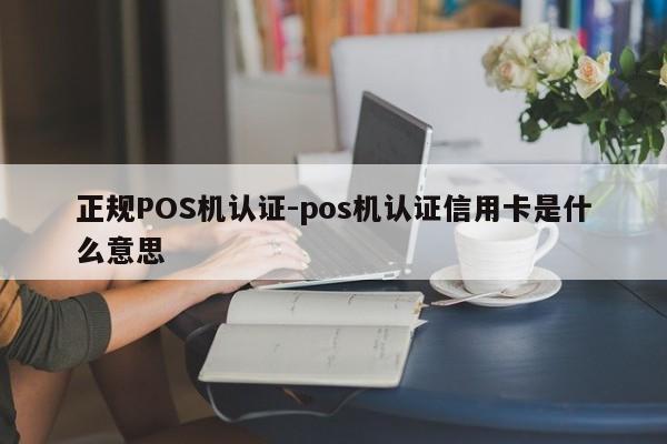 鄞州正规POS机认证-pos机认证信用卡是什么意思