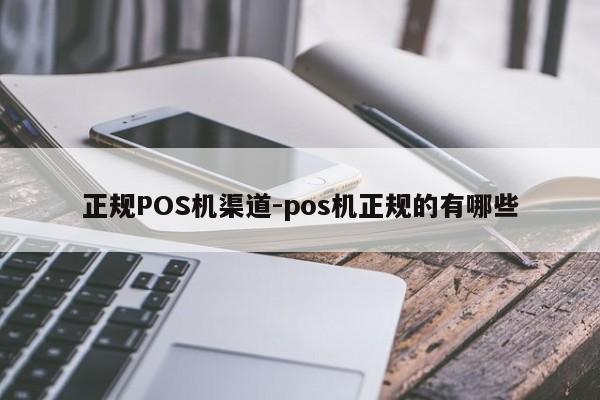 鄞州正规POS机渠道-pos机正规的有哪些